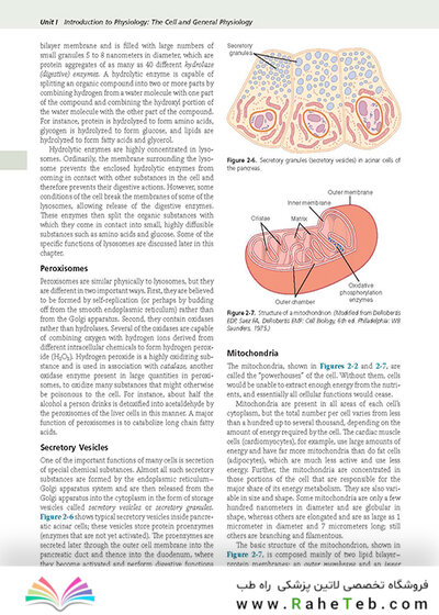 Guyton and Hall Textbook of Medical Physiology (Guyton Physiology) 13th Edition