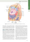Guyton and Hall Textbook of Medical Physiology (Guyton Physiology) 13th Edition