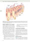 Guyton and Hall Textbook of Medical Physiology (Guyton Physiology) 13th Edition