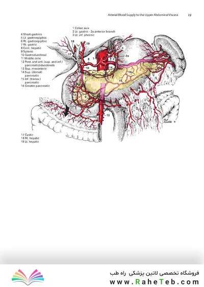 Zollinger's Atlas of Surgical Operations, Eleventh Edition 11th Edition