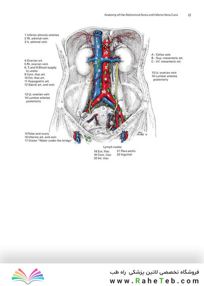 Zollinger's Atlas of Surgical Operations, Eleventh Edition 11th Edition
