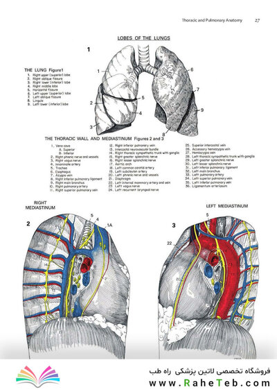 Zollinger's Atlas of Surgical Operations, Eleventh Edition 11th Edition