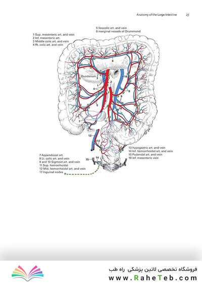 Zollinger's Atlas of Surgical Operations, Eleventh Edition 11th Edition