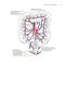 Zollinger's Atlas of Surgical Operations, Eleventh Edition 11th Edition