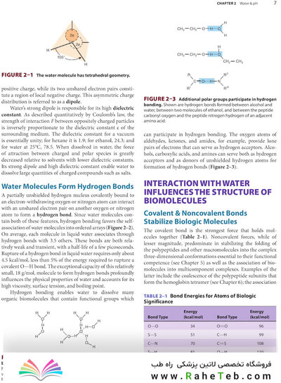 Harper's Illustrated Biochemistry, Thirty-Second Edition 32nd Edition