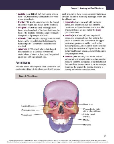 Dental Terminology 2021