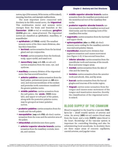 Dental Terminology 2021
