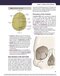 Dental Terminology 2021