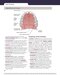 Dental Terminology 2021