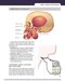 Dental Terminology 2021