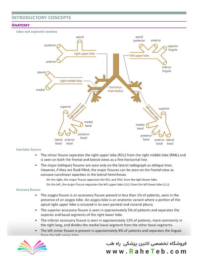Core Radiology: A Visual Approach to Diagnostic Imaging 2nd Edición