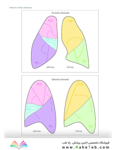 Core Radiology: A Visual Approach to Diagnostic Imaging 2nd Edición