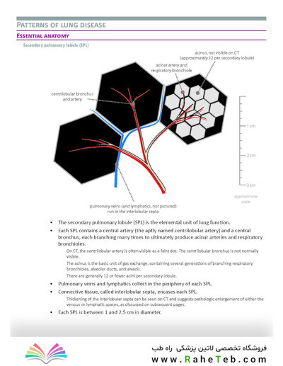 Core Radiology: A Visual Approach to Diagnostic Imaging 2nd Edición
