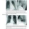 Core Radiology: A Visual Approach to Diagnostic Imaging 2nd Edición