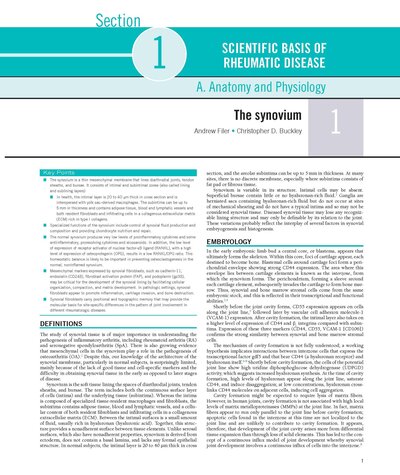 Rheumatology, 2-Volume Set 8th Edicion 2023