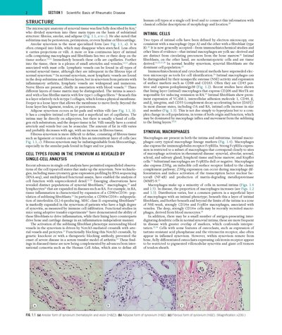 Rheumatology, 2-Volume Set 8th Edicion 2023