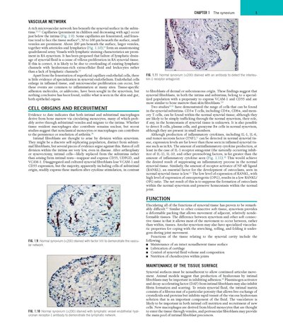 Rheumatology, 2-Volume Set 8th Edicion 2023