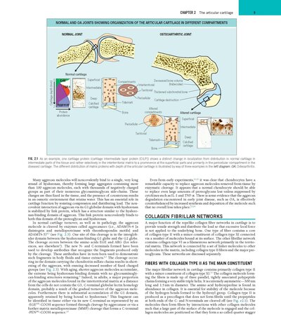 Rheumatology, 2-Volume Set 8th Edicion 2023
