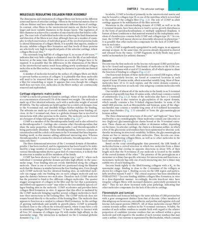 Rheumatology, 2-Volume Set 8th Edicion 2023