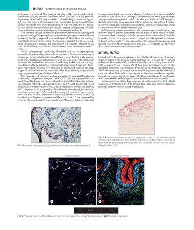 Rheumatology, 2-Volume Set 8th Edicion 2023