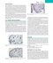 Rheumatology, 2-Volume Set 8th Edicion 2023