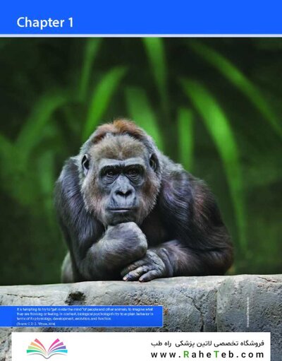 2023 Biological Psychology 14th Edicion