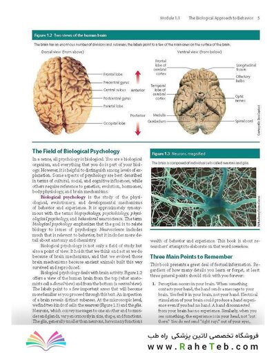 2023 Biological Psychology 14th Edicion