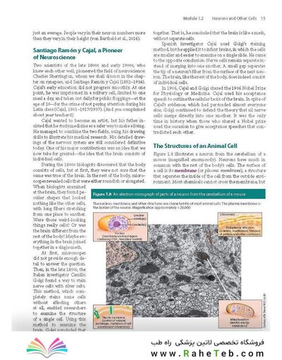 2023 Biological Psychology 14th Edicion