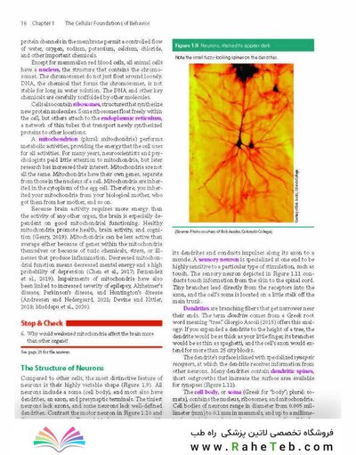 2023 Biological Psychology 14th Edicion