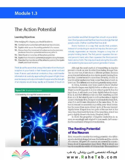 2023 Biological Psychology 14th Edicion