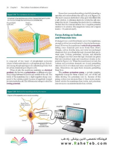 2023 Biological Psychology 14th Edicion