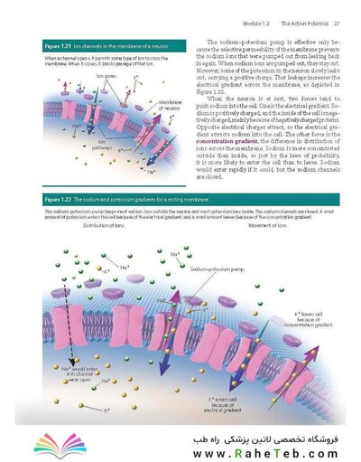 2023 Biological Psychology 14th Edicion