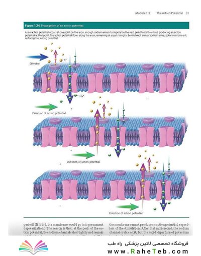 2023 Biological Psychology 14th Edicion