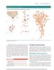 2023 Biological Psychology 14th Edicion