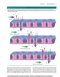 2023 Biological Psychology 14th Edicion