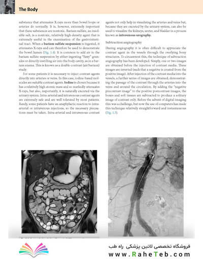 Gray’s Anatomy for Students 5th Edition 2024