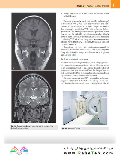 Gray’s Anatomy for Students 5th Edition 2024