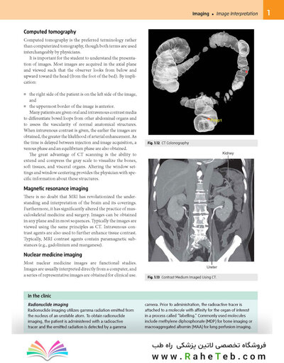 Gray’s Anatomy for Students 5th Edition 2024