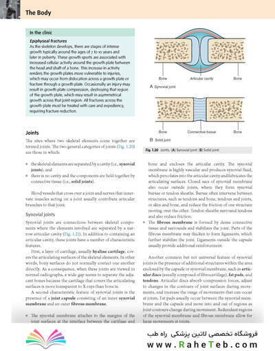 Gray’s Anatomy for Students 5th Edition 2024
