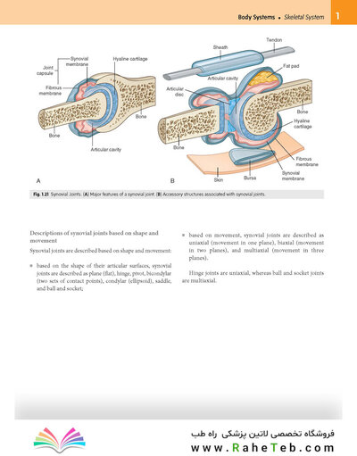 Gray’s Anatomy for Students 5th Edition 2024