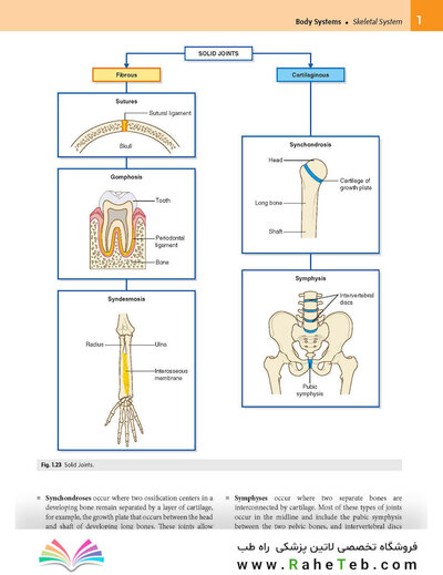 Gray’s Anatomy for Students 5th Edition 2024