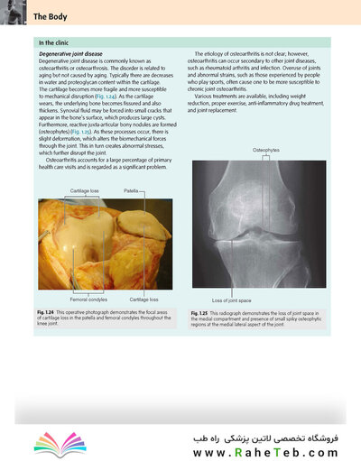 Gray’s Anatomy for Students 5th Edition 2024