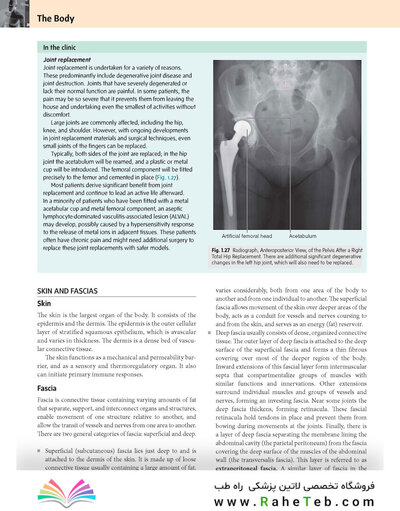 Gray’s Anatomy for Students 5th Edition 2024