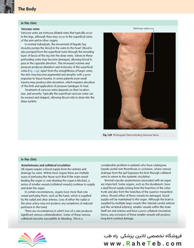 Gray’s Anatomy for Students 5th Edition 2024
