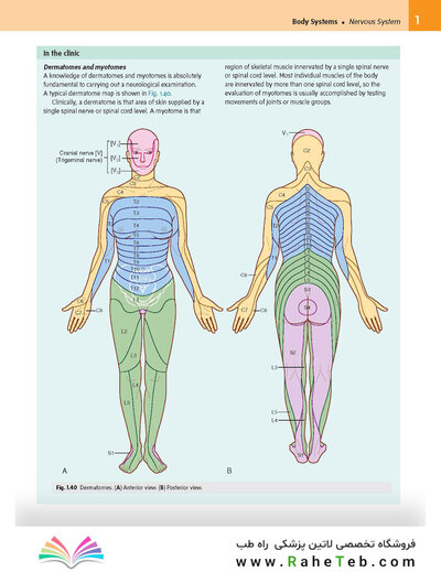 Gray’s Anatomy for Students 5th Edition 2024