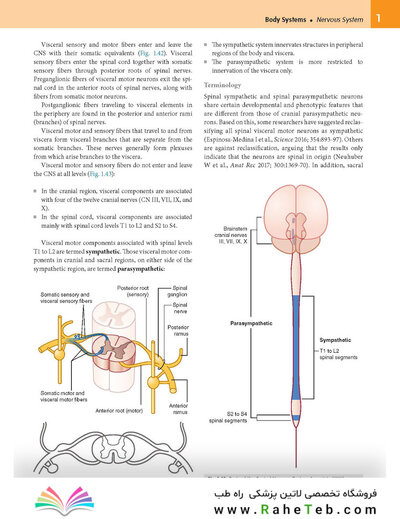 Gray’s Anatomy for Students 5th Edition 2024