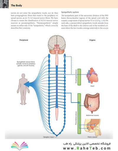 Gray’s Anatomy for Students 5th Edition 2024