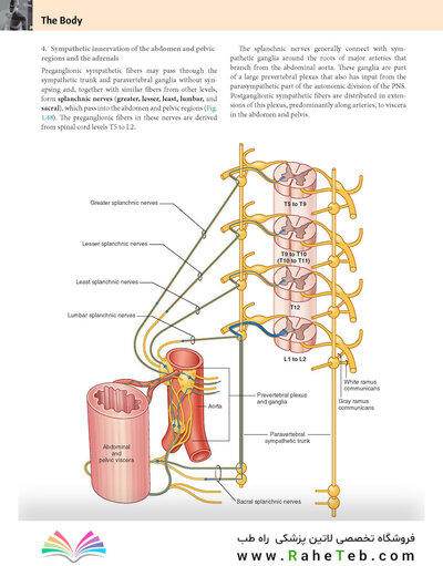 Gray’s Anatomy for Students 5th Edition 2024