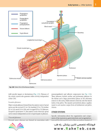 Gray’s Anatomy for Students 5th Edition 2024