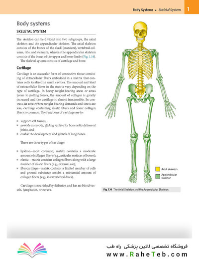 Gray’s Anatomy for Students 5th Edition 2024